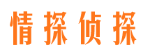 武江侦探